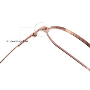 Polygonal Myopic Titanium Frame Glasses IP Plating For Men