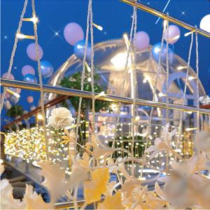 Luxury Transparent Bubble Tent UV Protection ISO Party Dome Tent