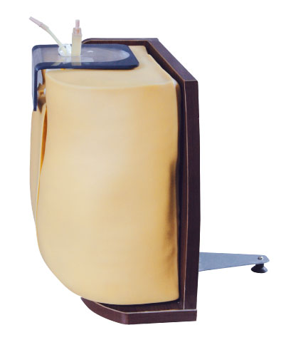 Lumbar puncture Clinical simulation training doll for college training