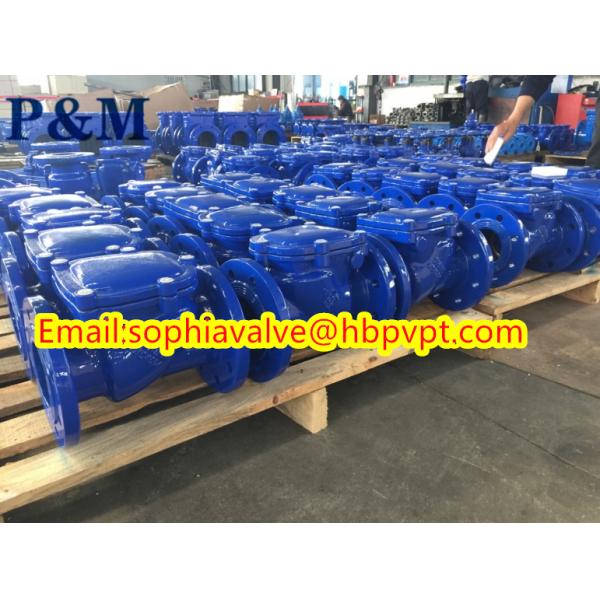 DIN PN10 PN16 Swing check valve