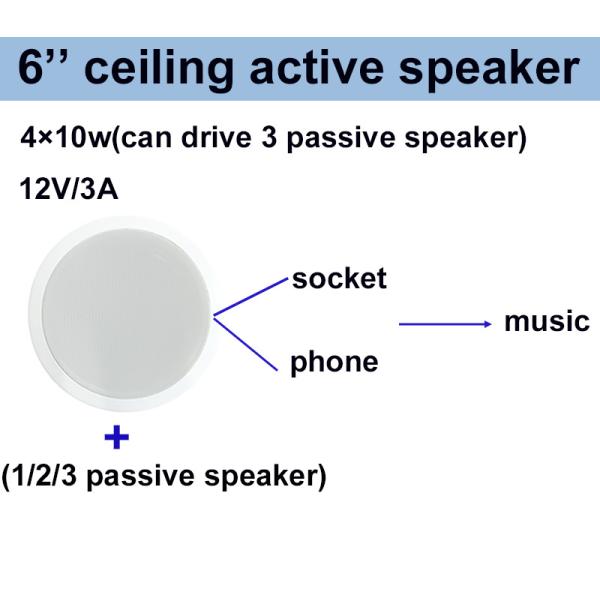 Oval 6 Inch Ceiling Active Speaker ABS Dual Cone 4×10W OEM ODM