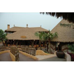 45*50cm and 30*45cm Customized Lightweight Thatched Roof Tile for Roofing