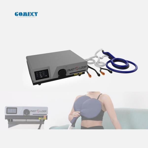 Buy 2024 Pemf Therapy Devices with Magic Mat Pads and Butterfly Loop for Salon and Home Physiotherapy at wholesale prices