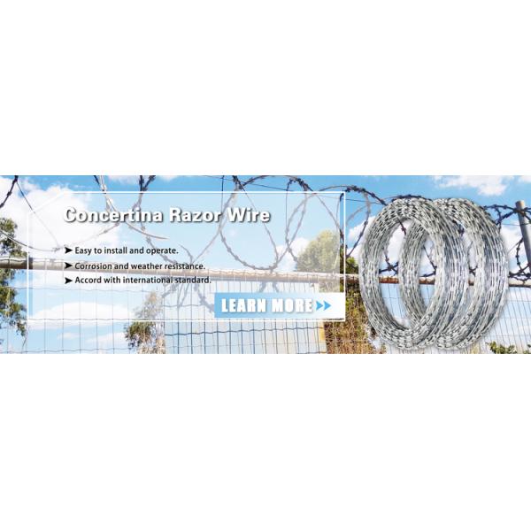 Concertina Razor Barbed Wire Price/Hot Dipped Galvanized Razor Wire