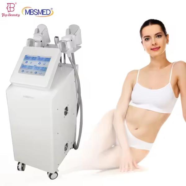 Cryolipolysis Vertical 4 Handles Multifunctional Body Shape 360 Cool Cryolipolys