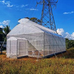 Hot Galvanized Pipe Frame Plastic Grow Tunnel