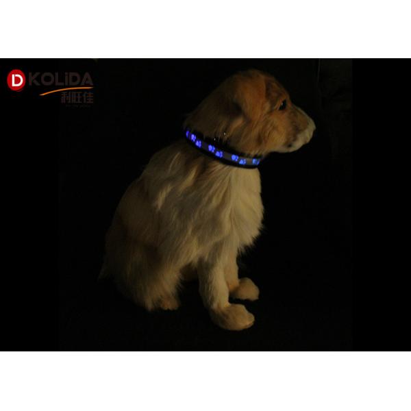 Outdoor Walking LED Dog Collar Waterproof Glow In The Dark Dog Collar