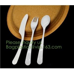 PLA Drinking Straws, CPLA Giant Straws, Individually Wrapped, Plant Based