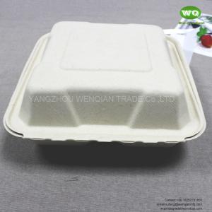 8/10 Inch Compostable Natural-Pulp 3-Compartments Lunch Bento Box Biodegradable
