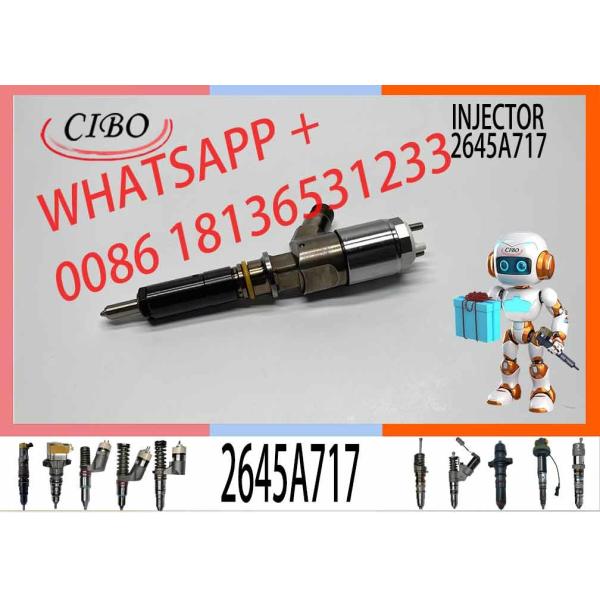 Fuel Injector 2645A745 2645A717 2645A733 320-0670 2923770 306-9370 3101852 10R-7670 For C+ C6.6 1106D