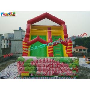 Popular Full Printing Commercial Inflatable Water , Customized Inflatable Slide