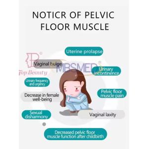 Non-invasive Electromagnetic Ems Pelvic Floor Muscle Repair Device