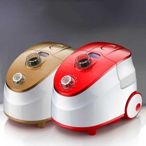 Clothes / Fabric Laundry Garment Steamer Eleven Step Rotation Steam Iron