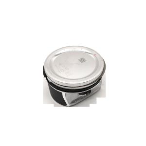 Imported Volkswagen Polo/Derby/Vento-IND2010-2012 complete piston 036107065DE