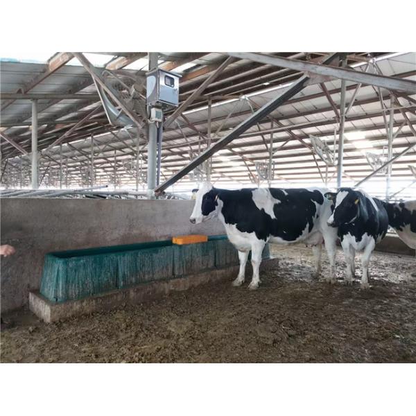 1.8m Large Plastic Water Trough Sheep Animal Husbandry Equipment