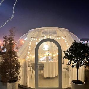 Green Houses Outdoor Bubble Tents Wooden Carton Packaging