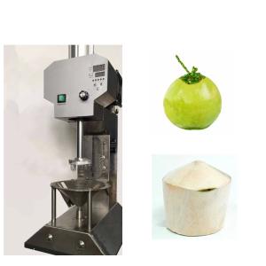 220V Food Processing Machines Electric Automatic Coconut Skin Peeling Machine
