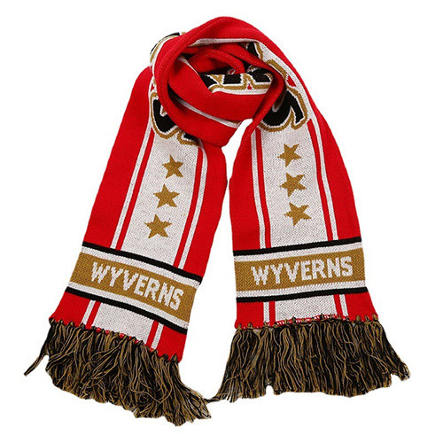 World Cup Sports Scarf Football Thraining Tracksuits Customized