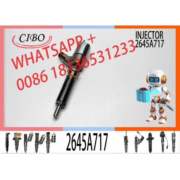 New Diesel Common Rail Fuel Injector 317-2300 3172300 2645A717 for C4/C6