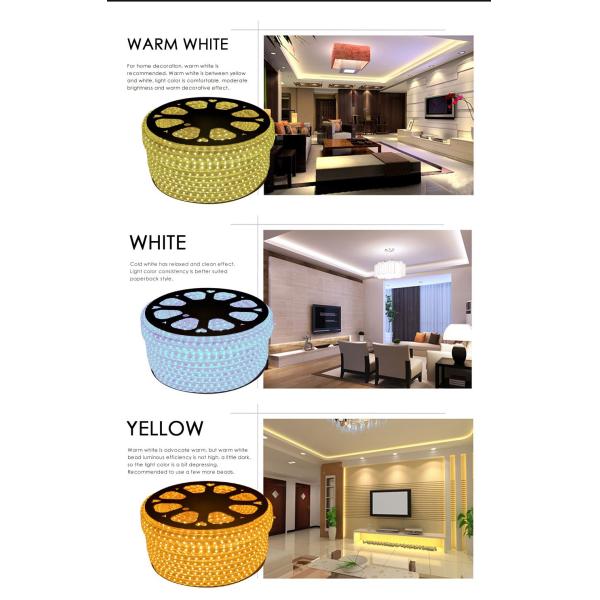 SMD5050 60led/m AC220V Waterproof Flexible LED SMD strip ROPE Light +Plug IP65