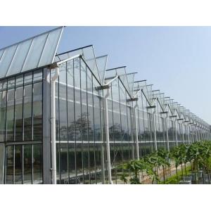 Simple Constructure Commercial Glass Greenhouse With Galvanized Steel Screws /