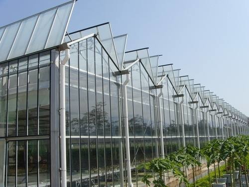 Simple Constructure Commercial Glass Greenhouse With Galvanized Steel Screws /