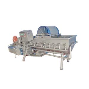 Leafy Vegetable 1000KG/H Eddie Current Washing Machine