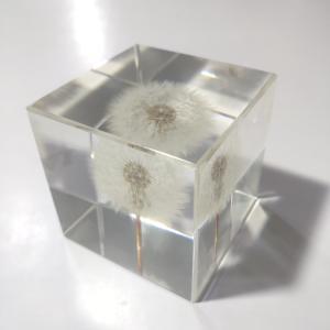 2.7" Resin Flower Paperweight 3D Dandelion Paperweight