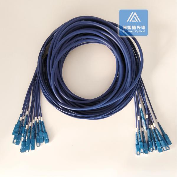 12 Cores Stainless Steel Armored Patch Cord SC-SC-30m Blue PVC 5.0mm Rodent