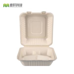 Quality 9 x 9&quot; Sugarcane pulp biodegradable hinged large container for sale