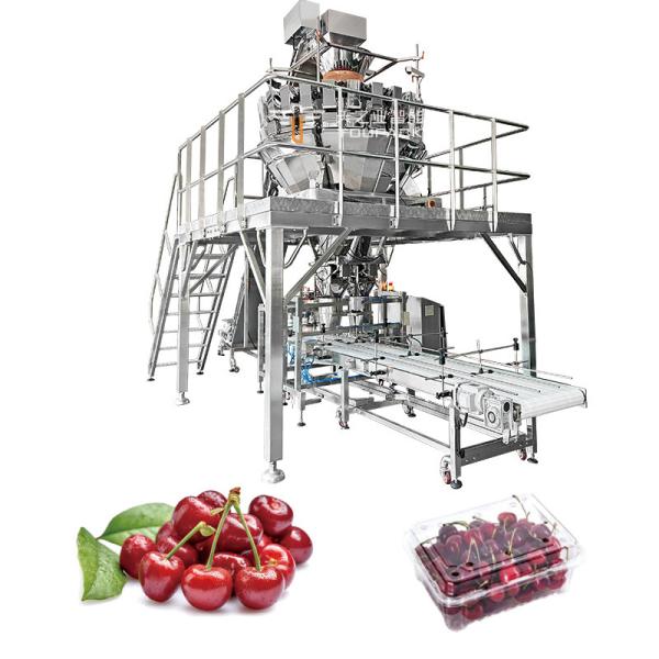 Automatic Fruit Vegetable Carrot Citrus Raspberry Nectarines Tray Horizontal