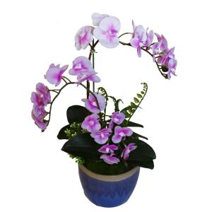 Quality Wholesale Potted Silk Orchids for sale