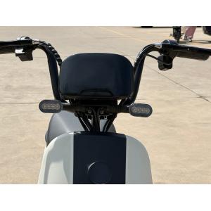 L1-D 350W Electric Two-Wheeler