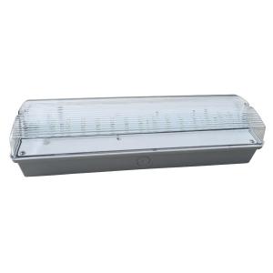 Professional Custom Surface Wall Mounted Waterproof Emergency Light