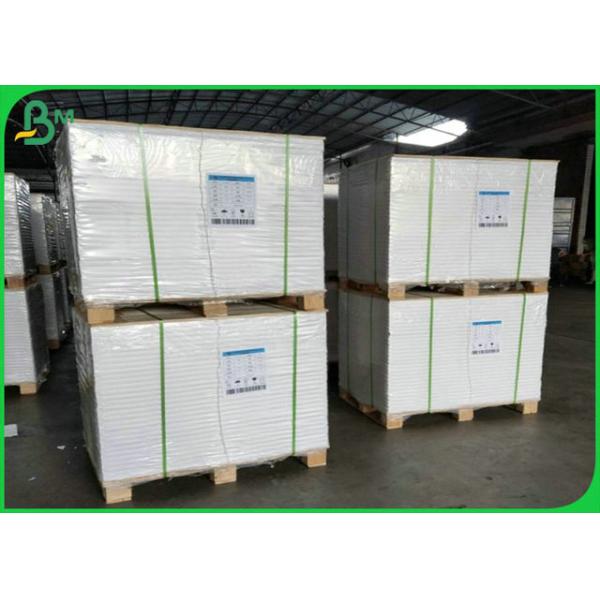 100gsm White Color Kraft Paper Roll PE Coated With Greaseproof 100gsm White Color Kraft Paper Roll PE Coated With Greaseproof