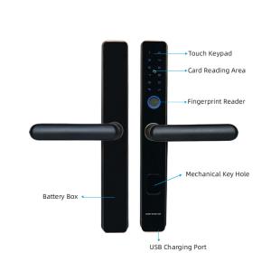 ODM Ttlock Digital Door Lock Zinc Alloy Wifi Smart Lock For Campus