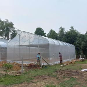 OEM Hydroponic Tunnel Plastic Greenhouse Galvanizing Steel Farm Supply