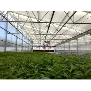 Multi Span Sawtooth Greenhouse Flower Farm Greenhouse 32m-80m