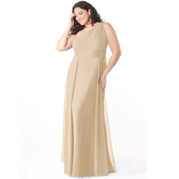 Popular A-Line One-Shoulder Chiffon Floor-Length Bridesmaid Dress Champagne Sleeveless Side Zip Pleated