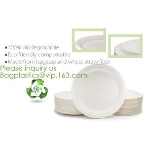 PLA Drinking Straws, CPLA Giant Straws, Individually Wrapped, Plant Based