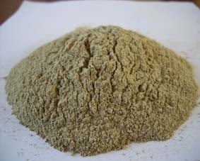 High quality fucoxanthin powder seaweed kelp extract,Natural Bladderwrack