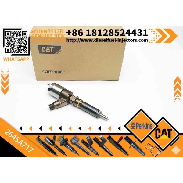 New Diesel Common Rail Fuel Injector 317-2300 3172300 2645A717 for C4/C6 engine in stock