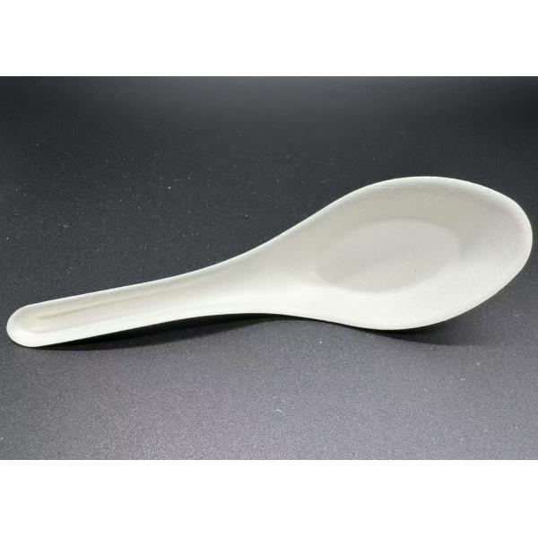 Eco-Friendly Compostable Pulp Cutlery Disposable Sugarcane Cutlery Biodegradable