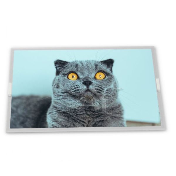 Buy G156HCE-L01    15.6 Inch 1920*1080 WLED Tft Industry Lcd Screen Panel at wholesale prices