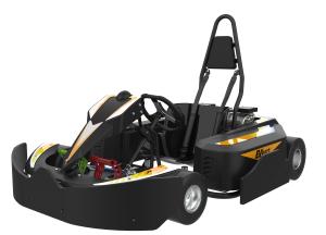 Quality 4130CrMo Steel Frame Fast Go Karts with APP adjustment control for sale