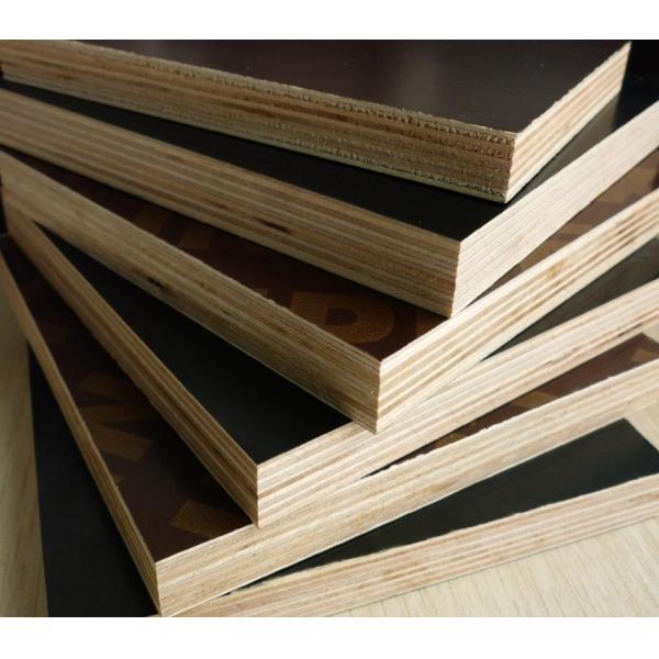 719e7film faced plywood candice (16)