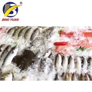 Industrial Fully Automatic Flake Ice Making Machine