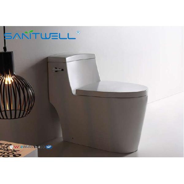 Buy Brazil ceramic one piece vacuum toilet for bathroom toilet 720*405*675 mm Size at wholesale prices