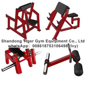 Quality Gym Fitness Equipment Fore Arm Curl / Seated Arm Curl / Arm curl machine exercise machine for sale