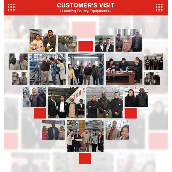 H TYPE LAYER CAGE (15).jpg